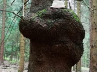 1.Mai Ausflug MC im Fichtelgebirge_39