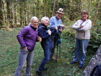 Herbstwanderung 9.10.21_23