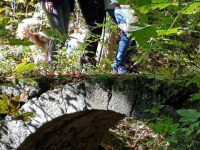 Herbstwanderung 9.10.21_46