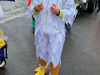 Faschingsumzug 2024