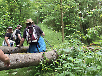 Wanderung Midnights 31.5.26_33