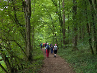 Wanderung Midnights 31.5.26_61